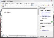 Microsoft Office Professional 2003 SP3 Portable (2013)