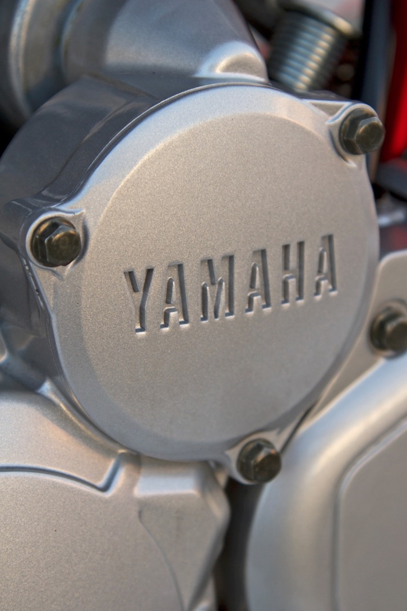 Кастом Yamaha Scorpio 225 Flug
