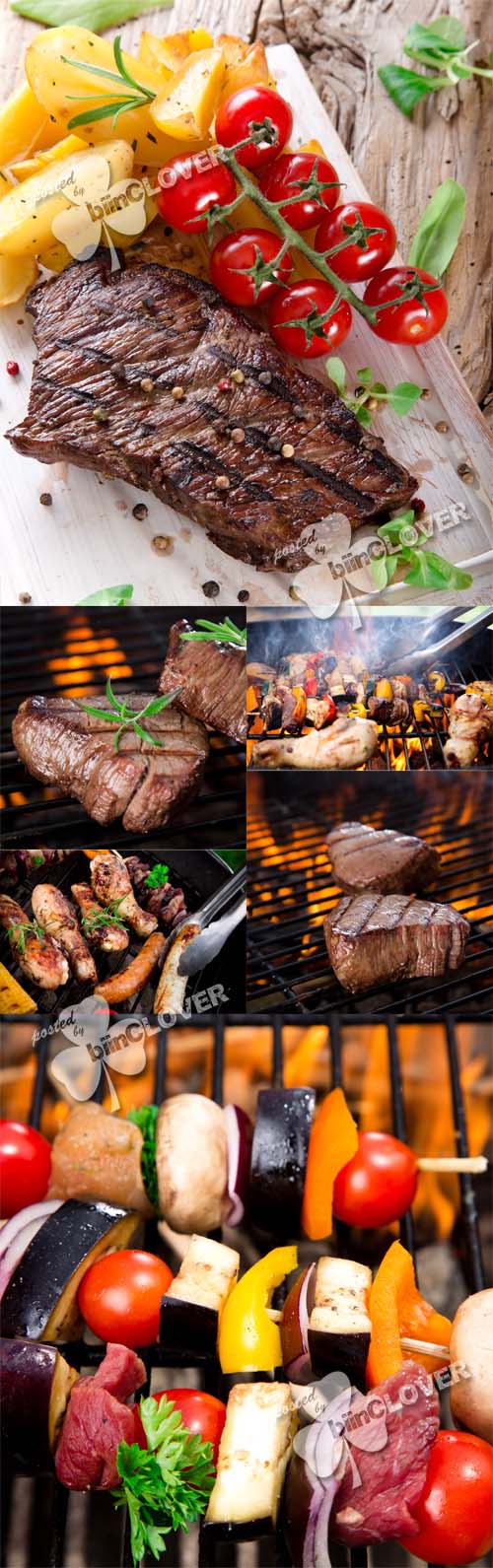 Grilled meat 0475