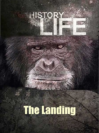 История жизни. Из моря на сушу и обратно / History of life. The Landing (2012) SATRip