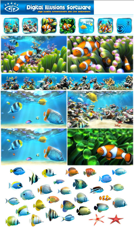 Sim Aquarium 3 Premium (+ Portable Version)