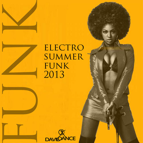 Electro Funk MacHine, Funky P & Daviddance - Electro Summer Funk 2013 (2013)