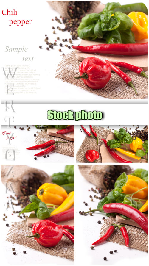     / Sweet and hot peppers - Raster clipart