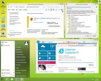 Microsoft Windows 8.1 Professional x86/x64 VL by OVGorskiy 09.2013 v.1 (2013/RUS)