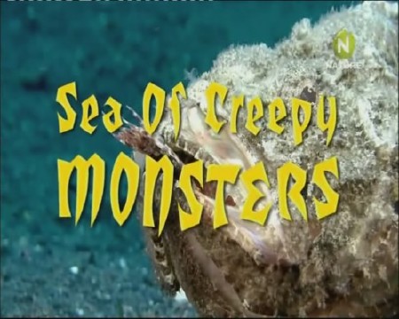   (  ) / Sea of Creepy Monsters (2010) SATRip-AVC