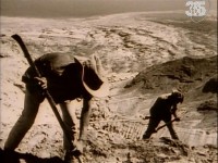     / The Myth of Masada (1992)  SATRip