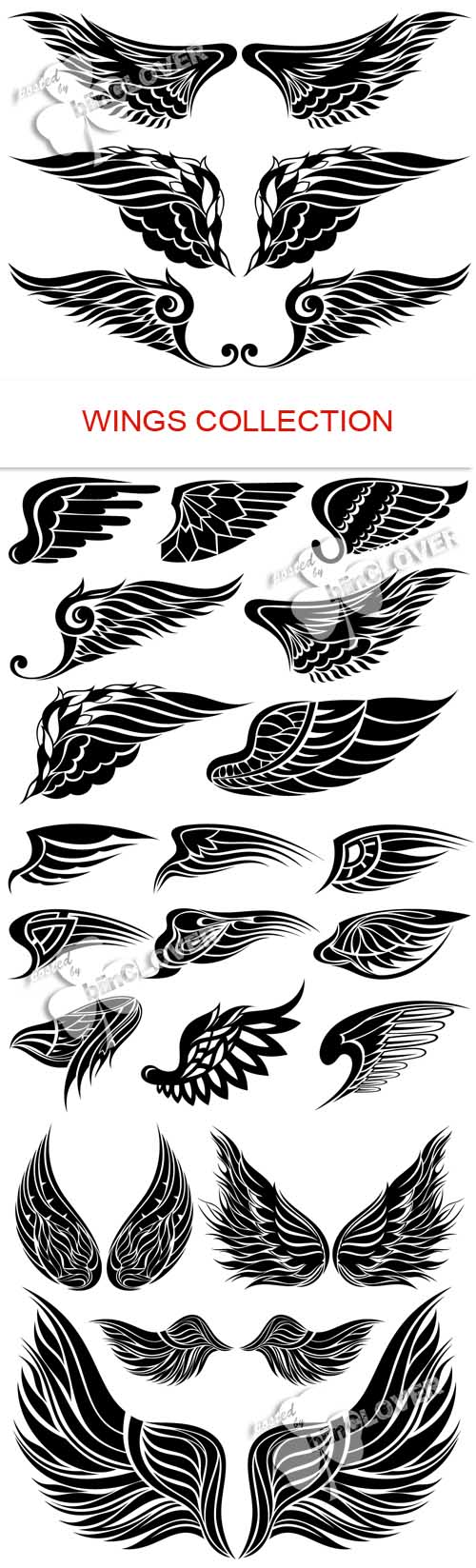 Wings collection 0485