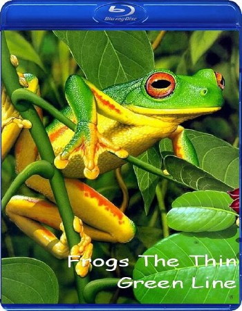 National Geographic:     / National Geographic: Frogs The Thin Green Line (2009) HDTVRip