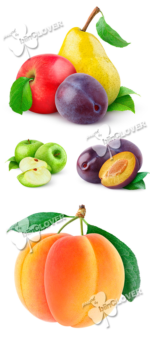 Collection of fruits 0487