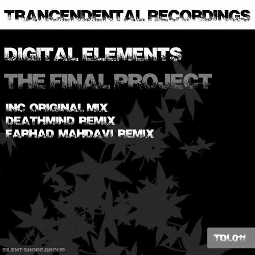 Digital Elements - The Final Project (2013)