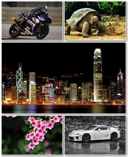 Best HD Wallpapers Pack 1040