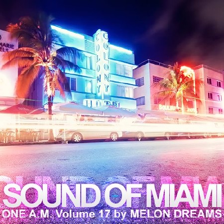 Sound Of Miami: One A.M. Volume 17 (2013)