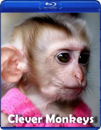 BBC. Умные обезьяны / Clever Monkeys (2008) HDTVRip (H.264/720p)