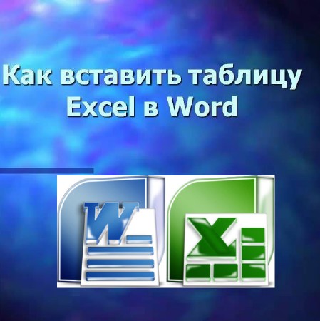     excel  word (2013)