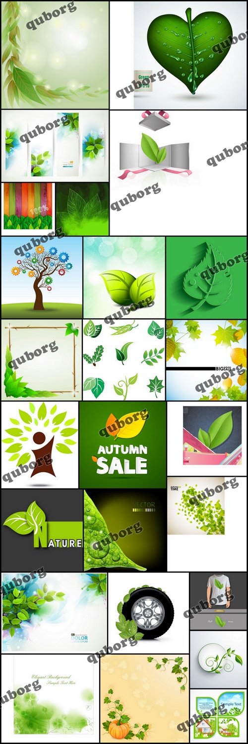 Stock Vector - Green Leaves Backgrounds & Elements