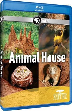 PBS: Природа - Дом животных / PBS: Nature - The Animal House (2011) BDRip