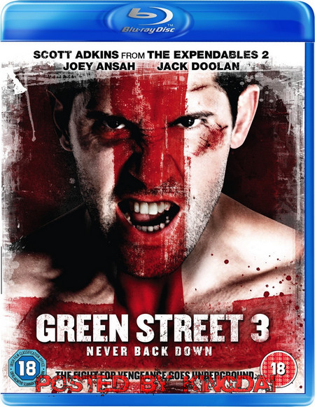 Green Street 3: Never Back Down (2013) 720p BRRip x264 AC3-EVO