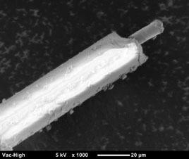 Electron micrograph of the structure of amorphous ferromagnetic microwire in glass insulation.  Stroke length scale in the picture -20 microns.