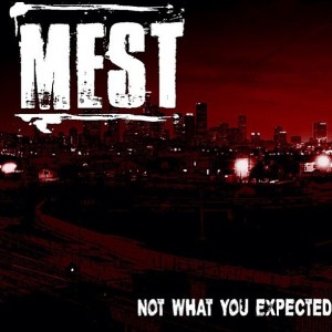 Mest - Not What You Expected (2013)
