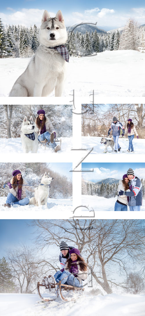 Winter couple and white dog - stock photo