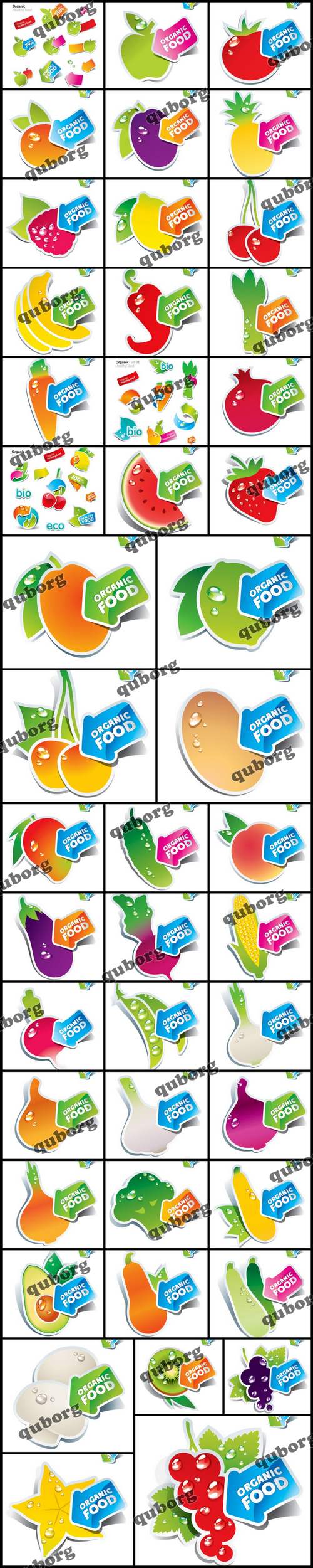Stock Vector - Organic Food Sticker