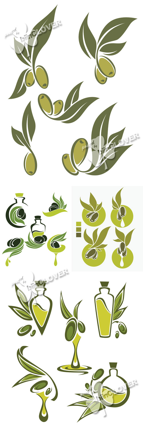 Green olive and oil 0505