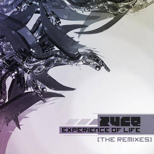 Zyce - Experience of Life (2013)