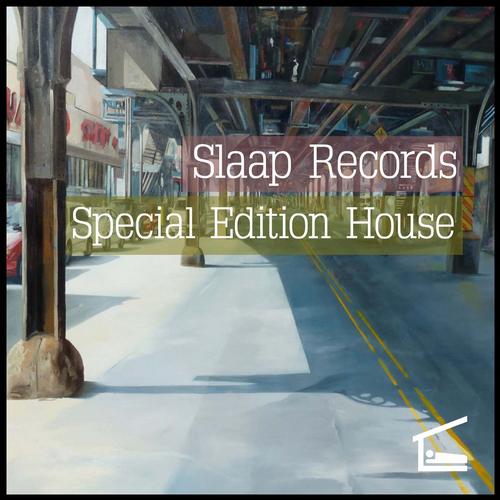 Slaap Records: Special Edition House (2013)