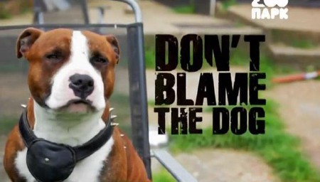    / Don't Blame the Dog (1-6   6) (2012) SATRip