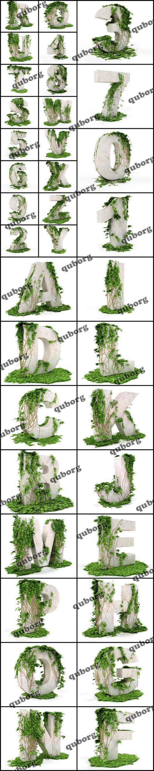 Stock Photos - 3D Alphabet - Letters & Numbers  Threads Covered with Ivy