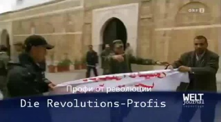    / Die Revolutions-Profis (2011) SATRip