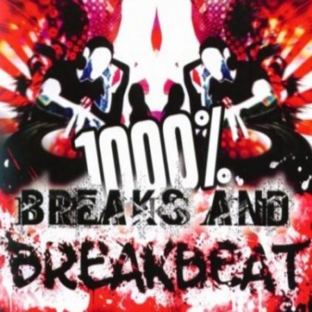 Breaks & Breakbeat Collection November Vol.2 (2013)