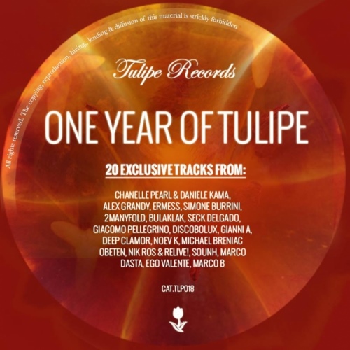 VA - One Year Of Tulipe (2013)