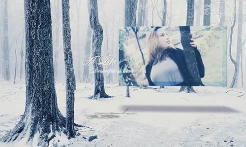  - Loves in Winter  After Effects