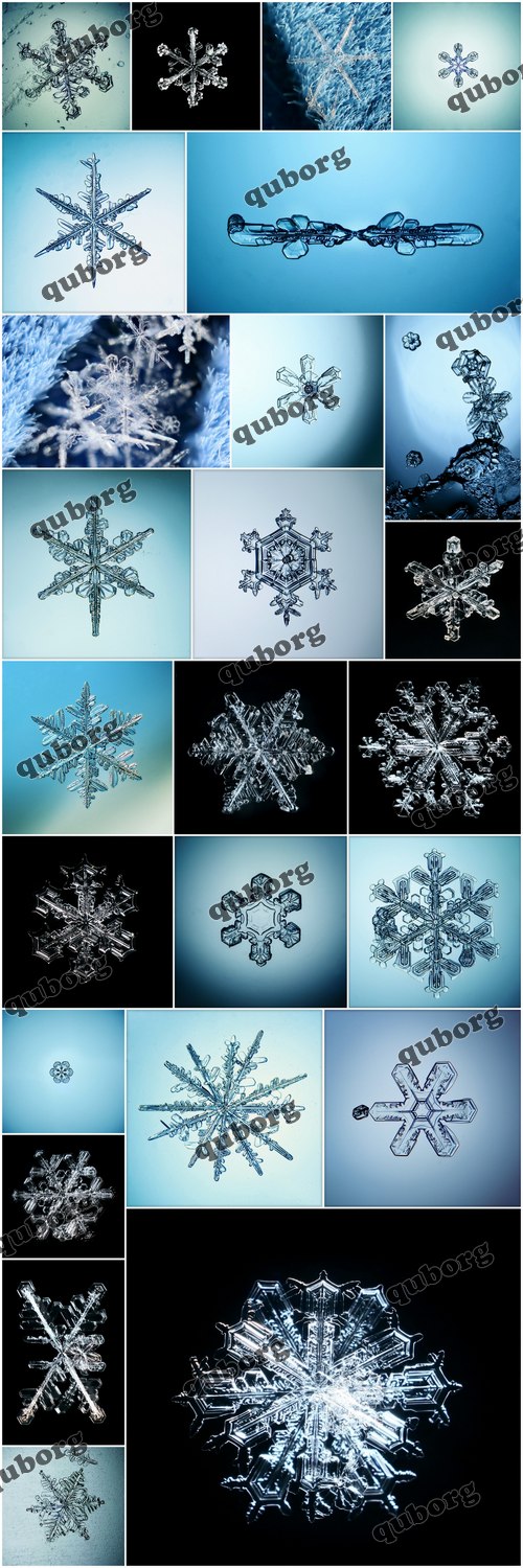 Stock Photos - Snowflakes and Ice Crystals