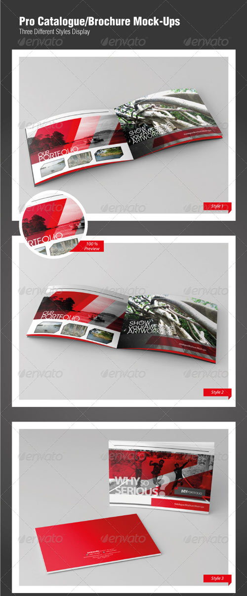 Pro Catalogue/Brochure Mock-Ups