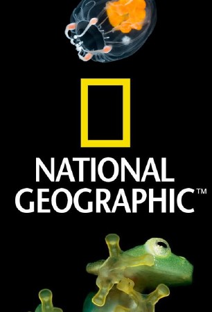 National Geographic : Шоу осминогов / National Geographic : The Octopus show (2000) DVDRip