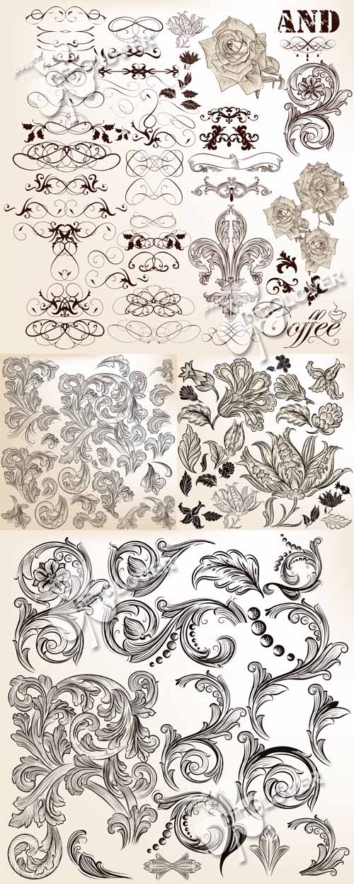 Floral vintage calligraphic design elements 0533