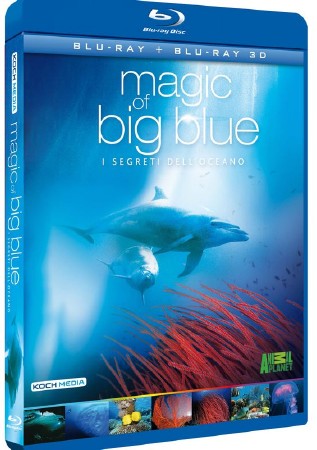   .   / Magic of Big Blue South America (2011) 3D (HSBS) / BDRip (1080p)