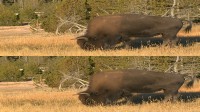    / World Natural Heritage: Yellowstone National Park (2012) 3D (HOU) / BDRip (1080p)