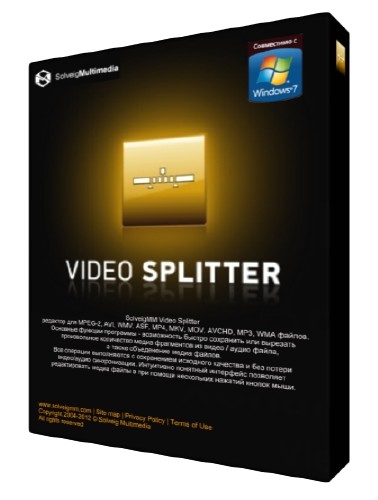 SolveigMM Video Splitter 6.0.1609.20 Business Edition