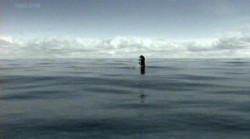 Русалки: обнаружено тело / Mermaids: The body found (2011 / TVRip)