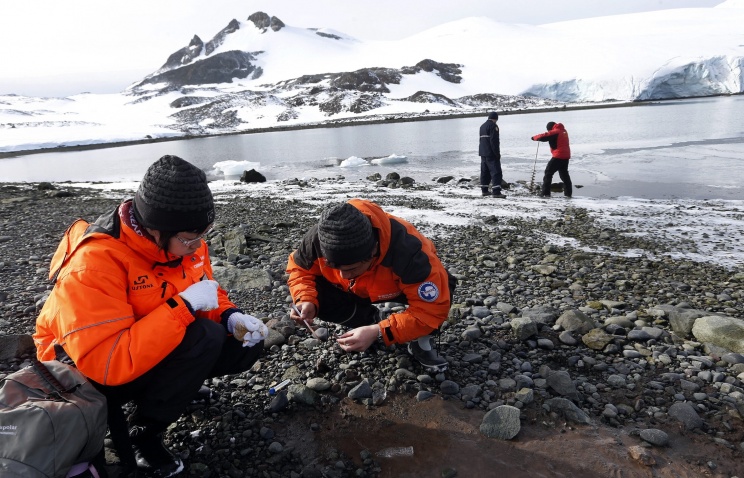 Темпы таяния льдов в Антарктиде опережают прогнозы