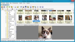 XnView 2.13 Complete (2013) ENG / RUS + Portable