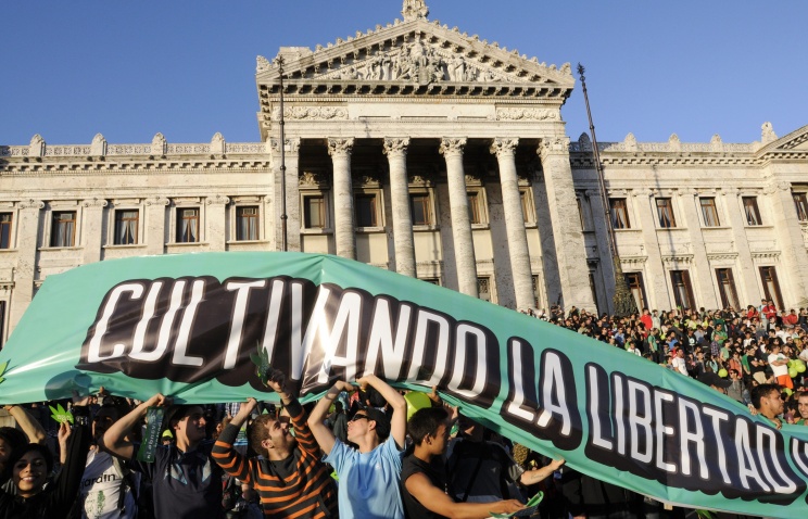 В посольства Уругвая стали чаще обращаться за гражданством из-за легализации марихуаны