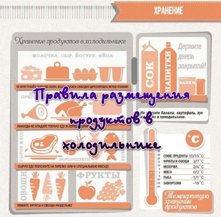 Правила размещения продуктов в холодильнике (2013)