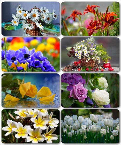 Цветочные обои - Сборник фото цветов (часть 10)