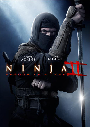 Ниндзя 2 / Ninja: Shadow of a Tear (2013) WEB-DLRip