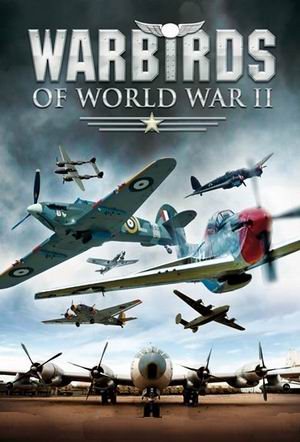      (10   10) / War Birds Of World War II (2008) IPTVRip
