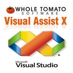 Visual Assist X 10.8.2023 [En]
